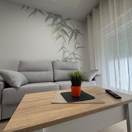 Apartamentos Turisticos Peregrin Palas Palas de Rei 外观 照片