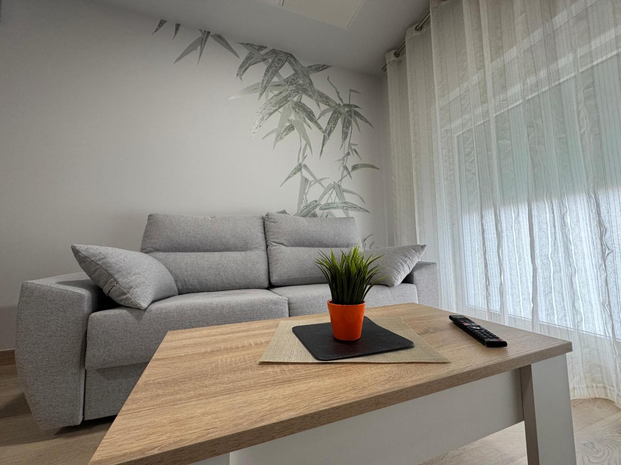 Apartamentos Turisticos Peregrin Palas Palas de Rei 外观 照片