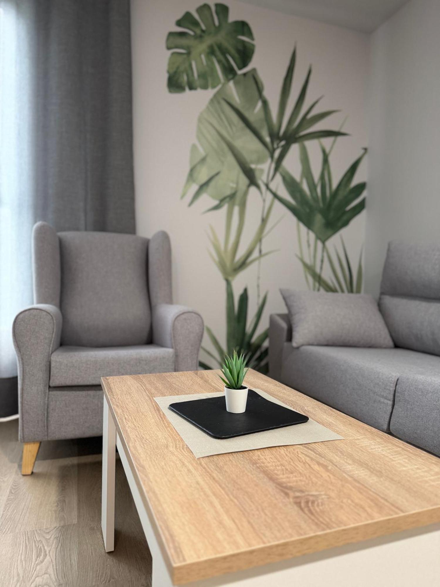 Apartamentos Turisticos Peregrin Palas Palas de Rei 外观 照片